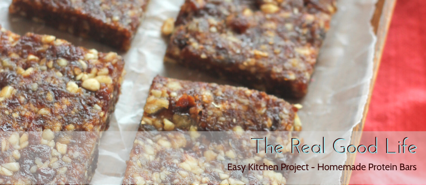 Easy Kitchen Project – Homemade Protein Bars