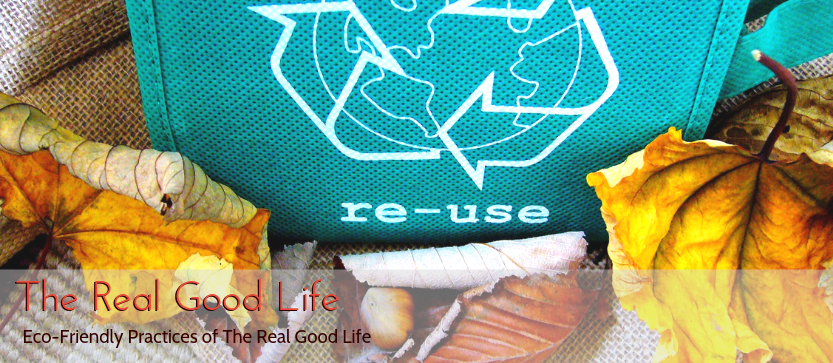 Eco-Friendly Practices of The Real Good Life